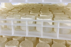 NEW MOULDERS	 FOR FRESH CHEESE